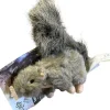 AFP All for paws AFP Egern Lille 15x18 cm - sød hundebamse til små hunde