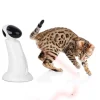 AFP All for paws AFP Katte laser beamer