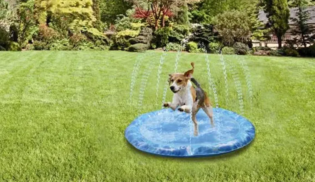 AFP All for paws Afp Sprinklermåtte Vandlegetøj til hunde M - flydende vandlegetøj til hunde
