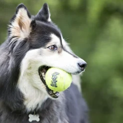 Kong Air Squeaker tennisball Ø 6,4 cm - sjov bold med piv til hunde