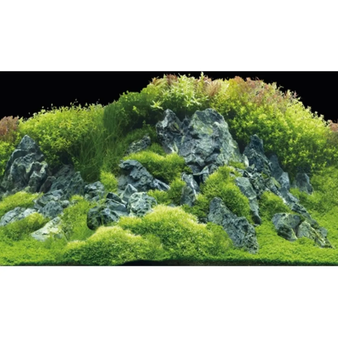 Hobby Akvariebaggrund Beplantet flod / Grønne klipper (30 cm høj) 60 cm