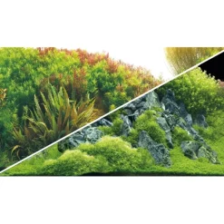 Hobby Akvariebaggrund Beplantet flod / Grønne klipper (50 cm høj) 100 cm