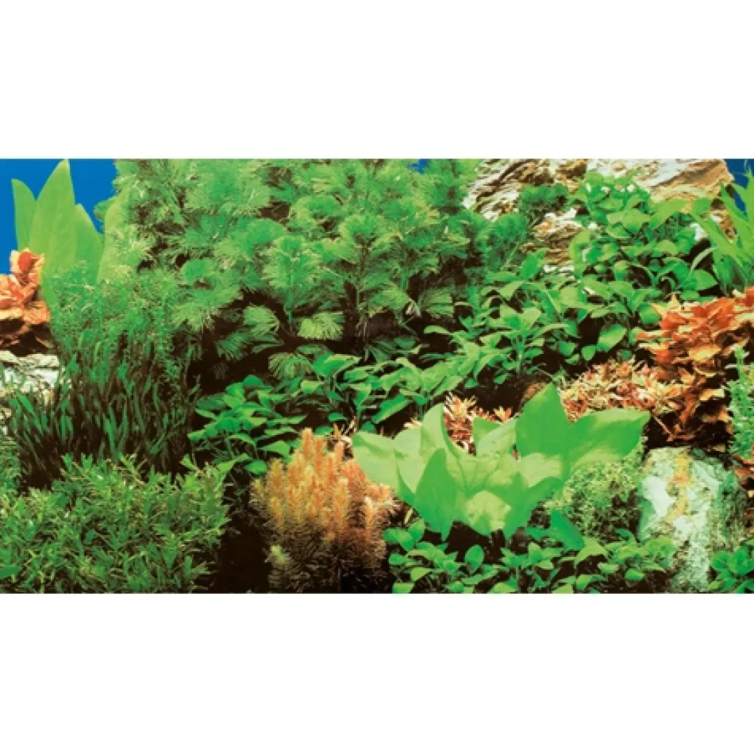 Hobby Akvariebaggrund Marin blue / Plant 8 (50 cm høj) 120 cm