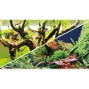 Hobby Akvariebaggrund Wood Island / Green secret (50 cm høj) 100 cm