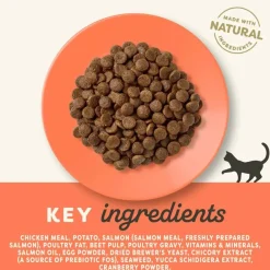 Applaws Hund & Katte mad Applaws kattefoder Kylling og Laks 2 kg