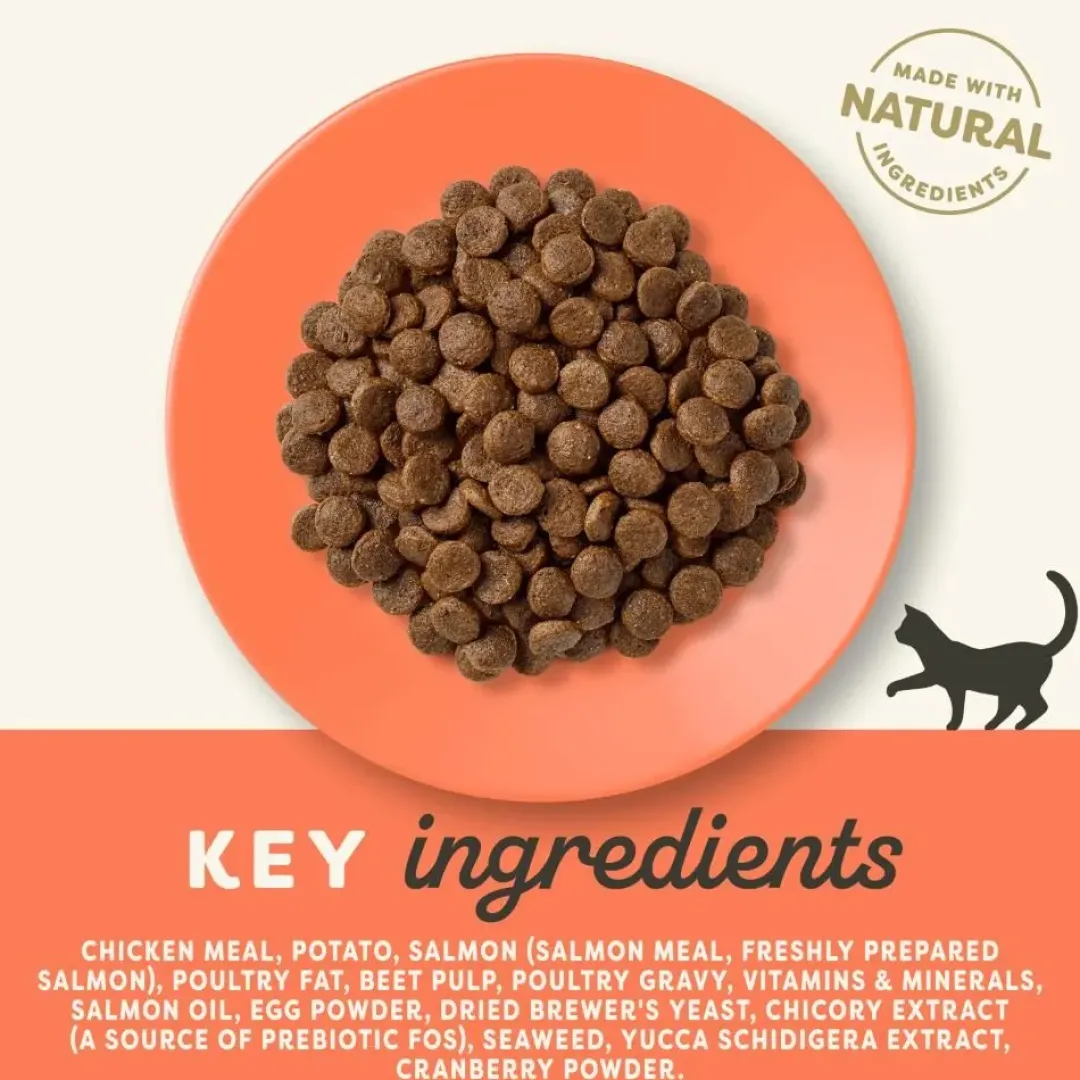 Applaws Hund & Katte mad Applaws kattefoder Kylling og Laks 2 kg