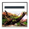 Aquael Akvarie og Lampe Ultra Scape 60 Forest