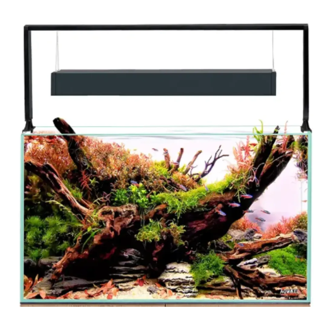 Aquael Akvarie og Lampe Ultra Scape 60 Forest