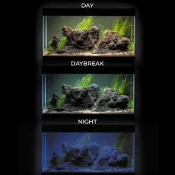 Aquael Akvarie og Lampe Ultra Scape 60 Forest