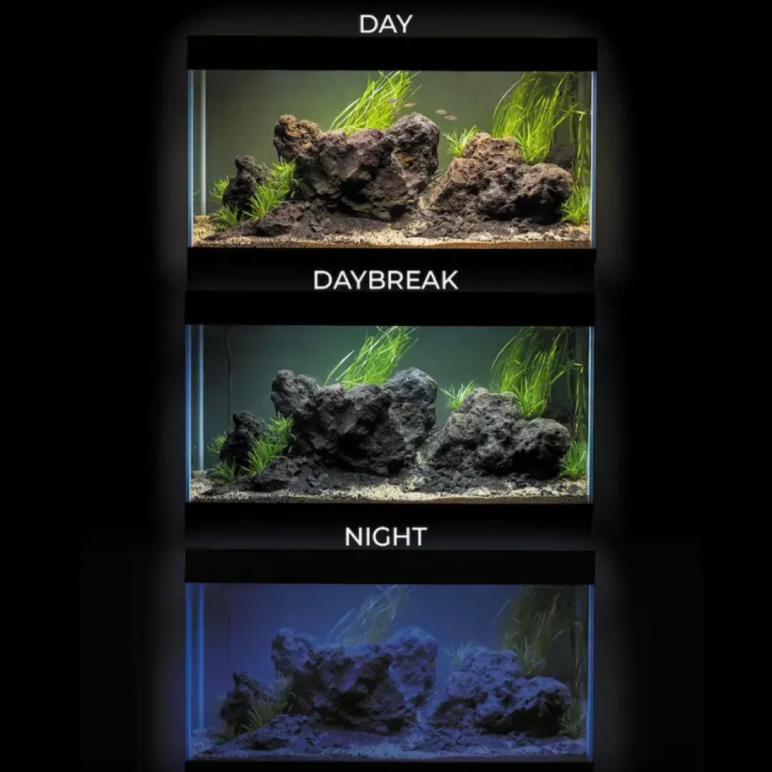 Aquael Akvarie og Lampe Ultra Scape 60 Forest