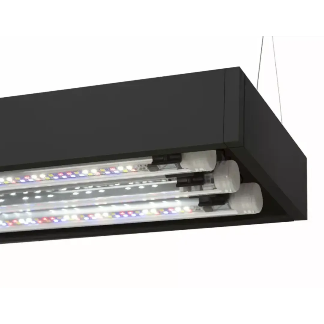 Aquael Akvarie og Lampe Ultra Scape 60 Forest