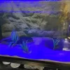 MiniZoo AquaLight LED Lampe Super Bright 16 Farver 92 cm 15 watt
