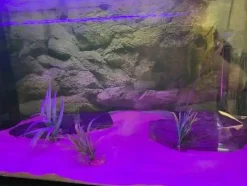 MiniZoo AquaLight LED Lampe Super Bright 16 Farver 92 cm 15 watt