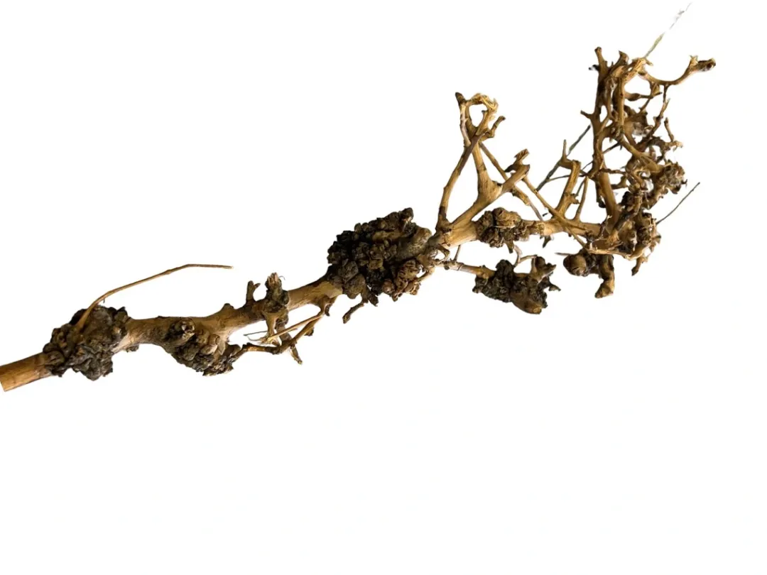 Dekoration til Akvarier og Terrarier Aquascaping Root 25-35 cm