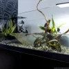 Repti Planet Aqua Terrarium 100x35x40,5 cm til Sumpskildpadder