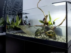 Repti Planet Aqua Terrarium 100x35x40,5 cm til Sumpskildpadder