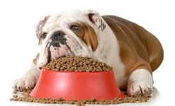 ARION Original Hundefoder Arion Original Foderspand 31,5 L med låg