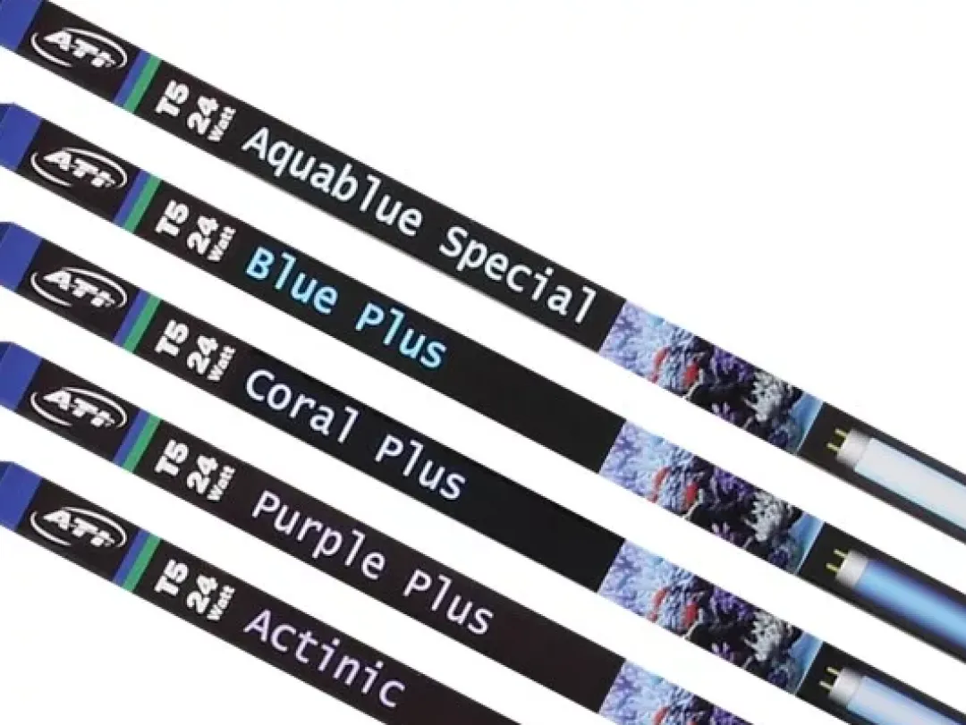 ATI T5 24 Watt Blue Plus 55 cm