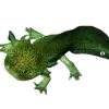 Akvariefisk Axolotl (Ambystoma Mexicanum Green) - det evige larvestadie i akvariet