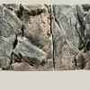 Back to Nature Rocky-Juwel 100x42 cm