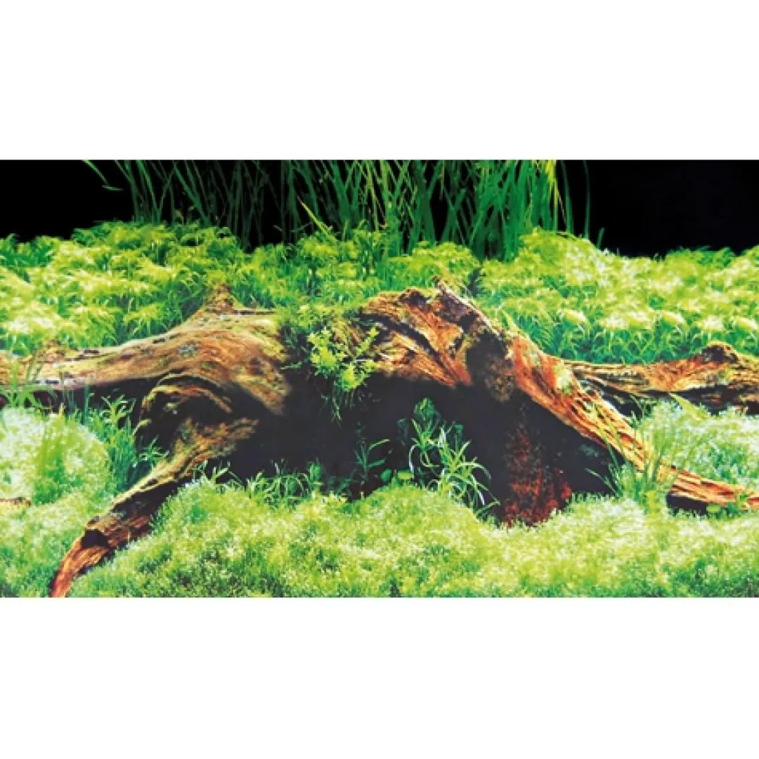 Hobby Baggrund til akvarium Beplantet og mos (50 cm høj) 120 cm
