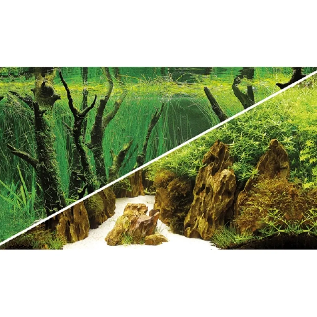 Hobby Baggrund til akvarium Canyon og Woodland (30 cm høj) 60 cm