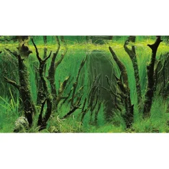 Hobby Baggrund til akvarium Canyon og Woodland (50 cm høj) 100 cm
