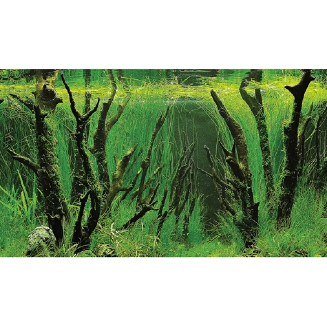 Hobby Baggrund til akvarium Canyon og Woodland (50 cm høj) 120 cm