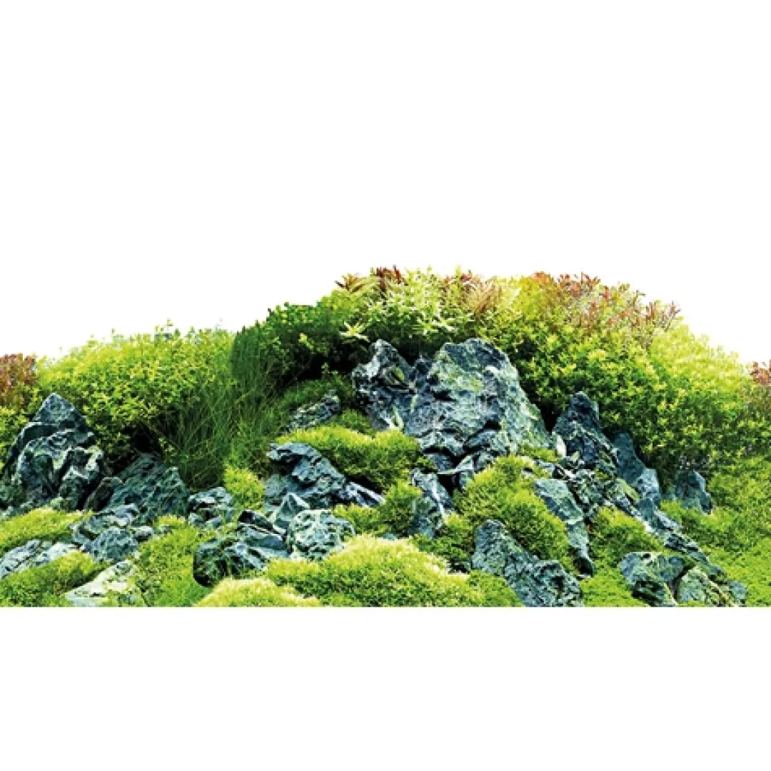 Hobby Baggrund til akvarium Scapers Hill og forest (50 cm høj) 100 cm