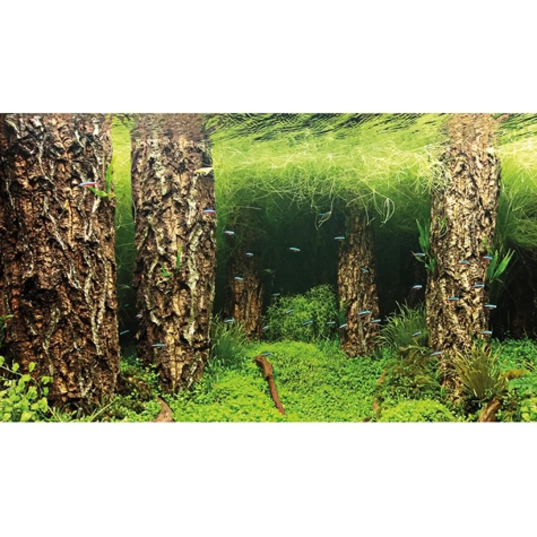 Hobby Baggrund til akvarium Scapers Hill og forest (50 cm høj) 100 cm
