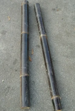 Dekoration til Akvarier og Terrarier Bambus sort 50 cm