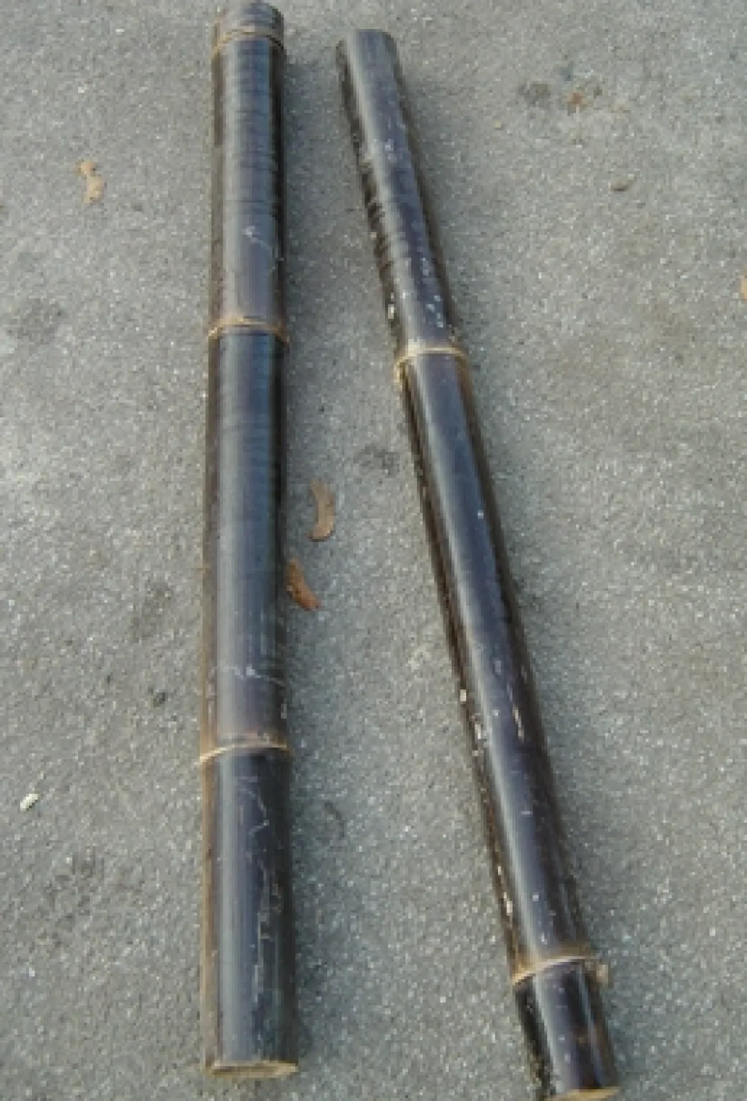 Dekoration til Akvarier og Terrarier Bambus sort 50 cm