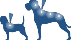 Bayvantic Vet hund 10-25 kg 4 x 2,5 ml