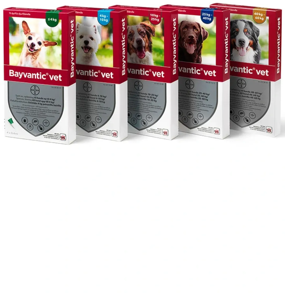Bayvantic Vet hund 25-40 kg 4 x 4,0 ml