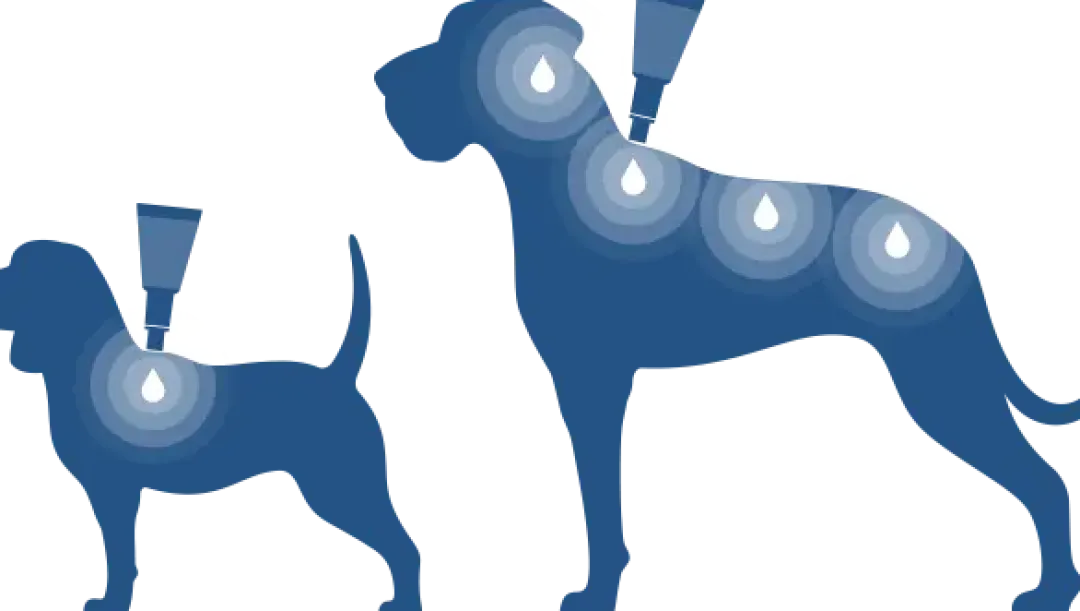 Bayvantic Vet hund 40-60 kg 4 x 6,0 ml