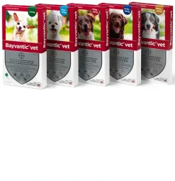 Bayvantic Vet hund under 4 kg 4 x 0,4 ml