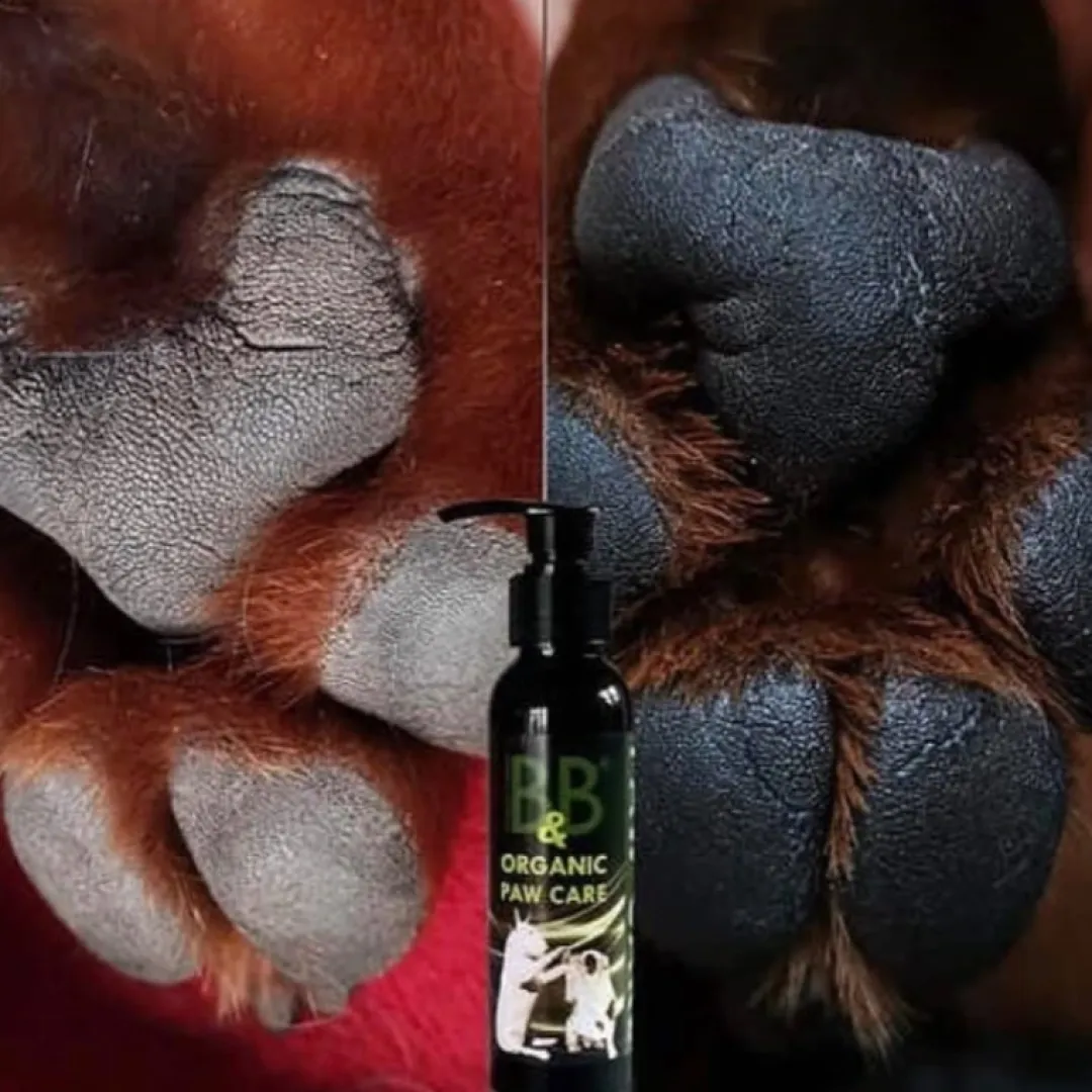 B&B Økologisk Hundeshampoo B&B Økologisk Potepleje