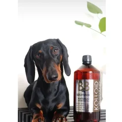 B&B Økologisk Hundeshampoo B&B Sølvvand 1 Liter