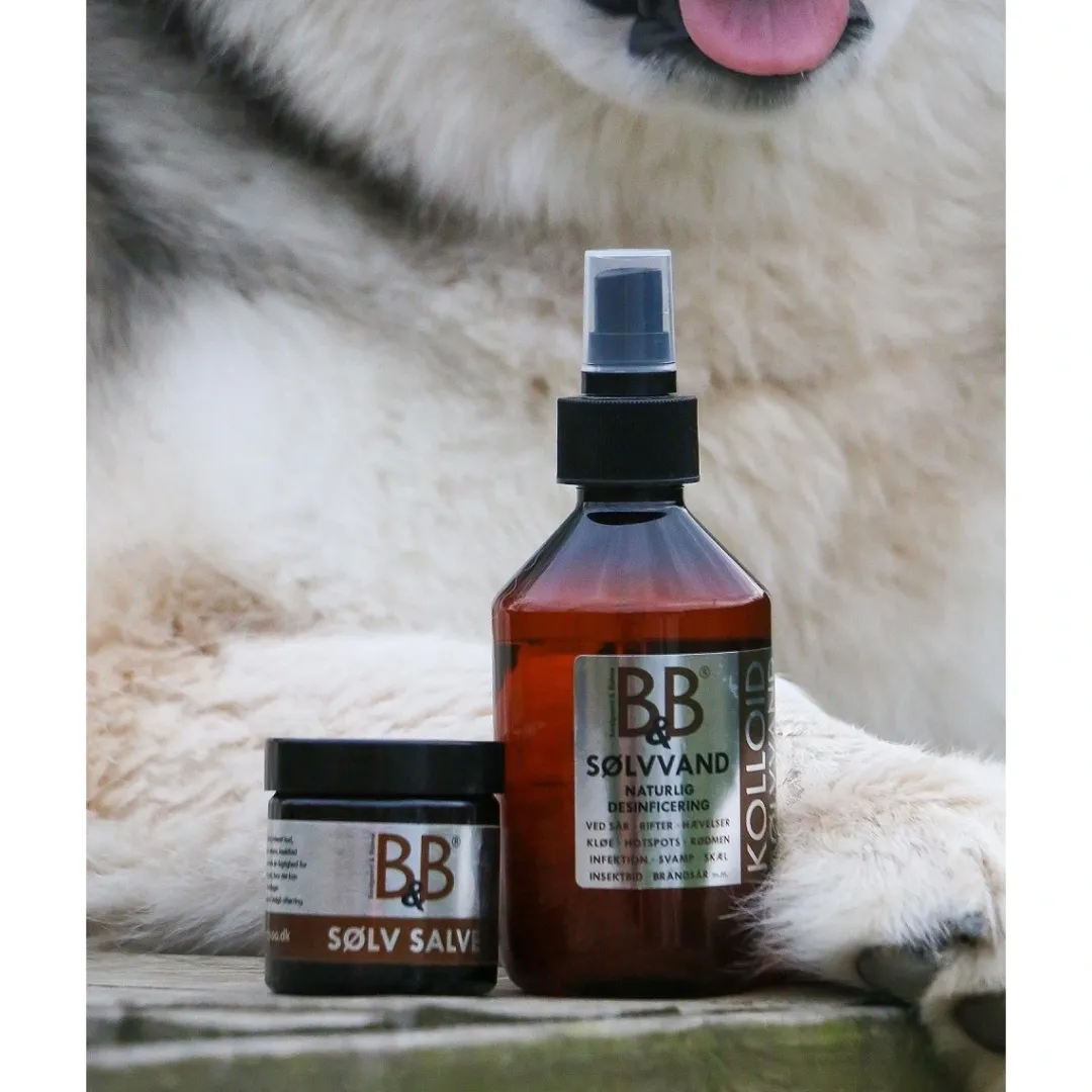 B&B Økologisk Hundeshampoo B&B Sølvvand 250 ml