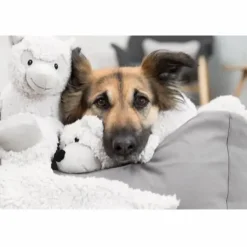 Trixie Be Eco Bjørn Elroy - bamse i genbrugsplys til hunde