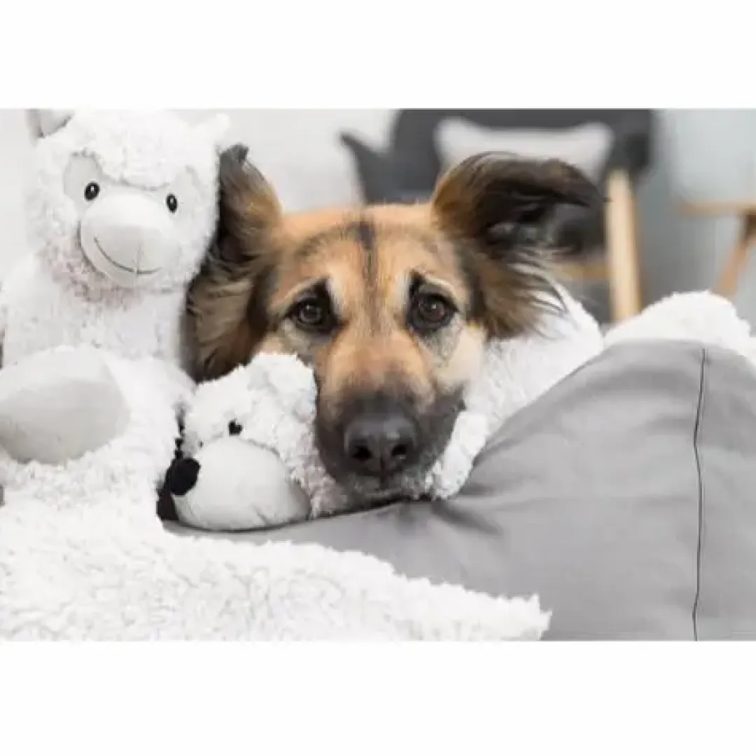 Trixie Be Eco Bjørn Elroy - bamse i genbrugsplys til hunde