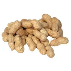 Bello Fuglefoder Bello Peanuts med skal snack til gnavere og fugle 200 g
