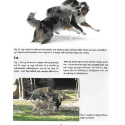 MiniZoo Berigelse af dyrenes miljø af Michael O. Jørgensen