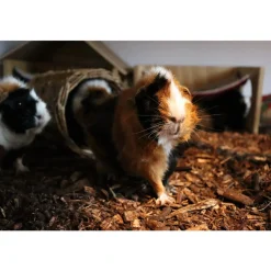 NyVraa Bioaktivt strøelse BIOBED bioaktivt strøelse 18 L