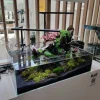 Blau - Aquaristic Blau Glasakvarium CUBIC Aquascaping Shallow 17 45x24x16 cm