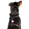 Karlie Blinky silicone hunde lygte