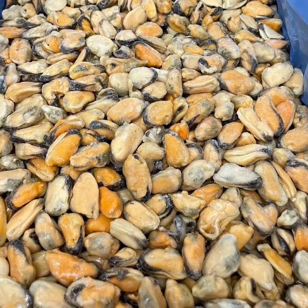 MiniZoo Blåmuslinger uden Skal - 1 kg (Frosne)