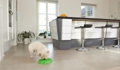 Buster dogmaze (Lime)