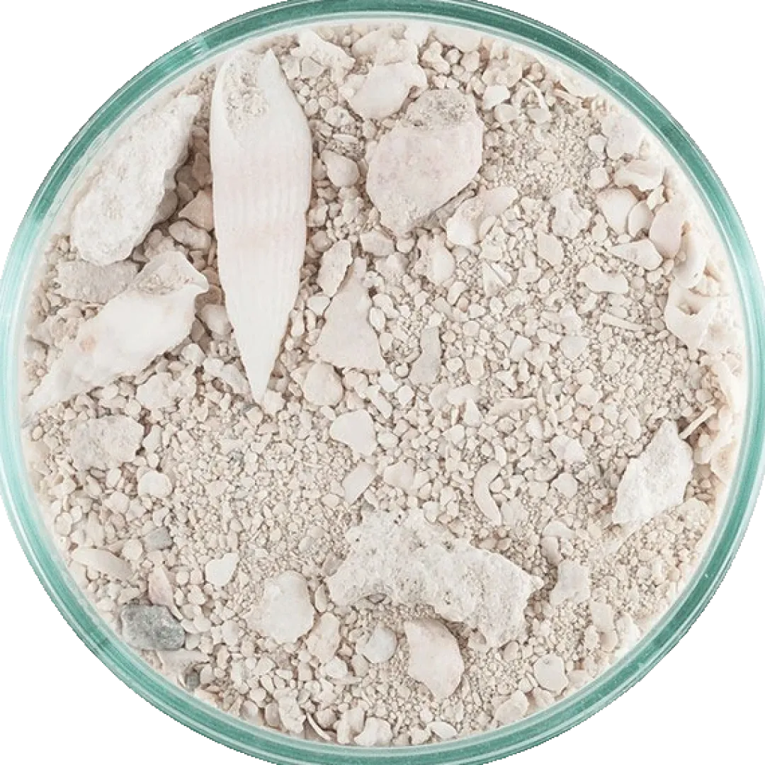 CaribSea Ocean Direct Original Grade 2,25 kg