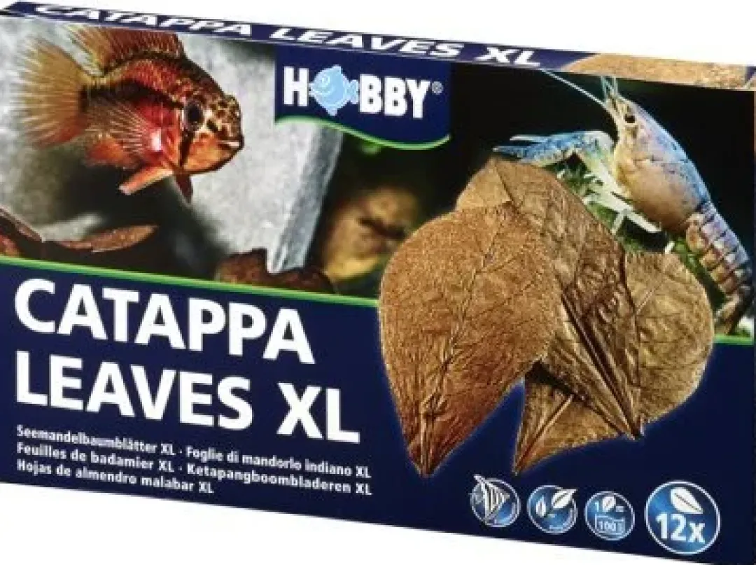 Hobby Catappa Leaves XL